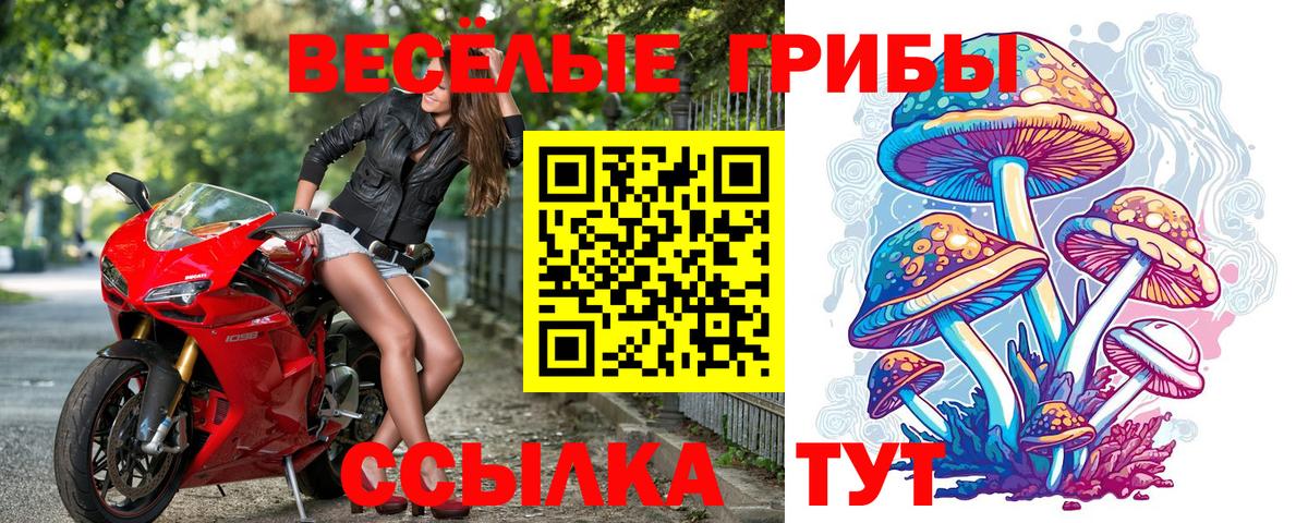 Псилоцибиновые грибы мухоморы Приморско-Ахтарск