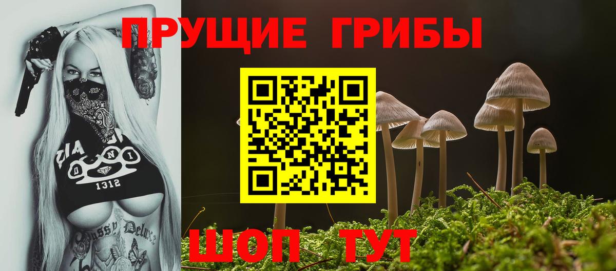 Приморско-Ахтарск  Псилоцибиновые грибы мухоморы  Вход с VPN 