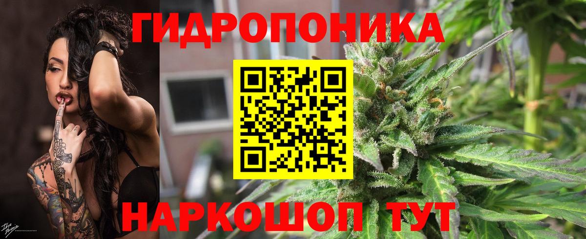 Канабис марихуана Приморско-Ахтарск